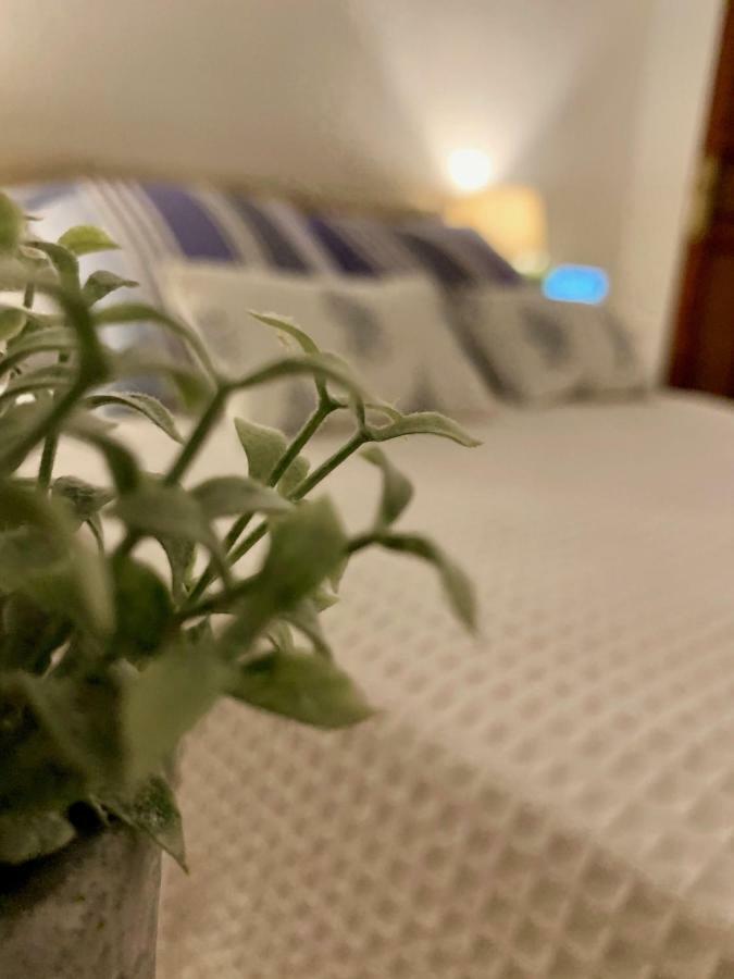 Luz Y Sencillez En El Centro Historico De Malaga Apartment ภายนอก รูปภาพ