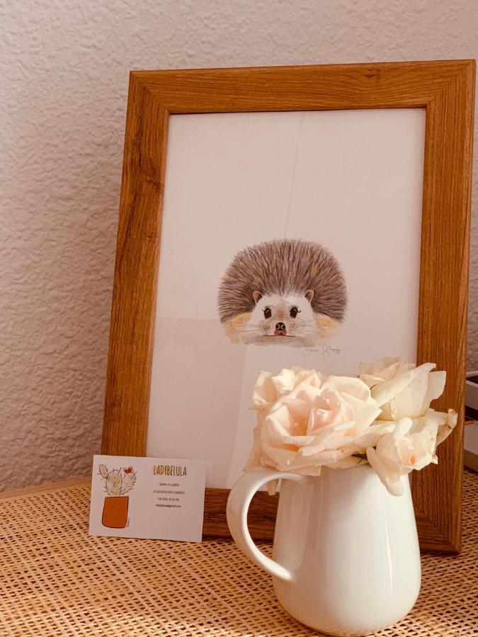 Luz Y Sencillez En El Centro Historico De Malaga Apartment ภายนอก รูปภาพ